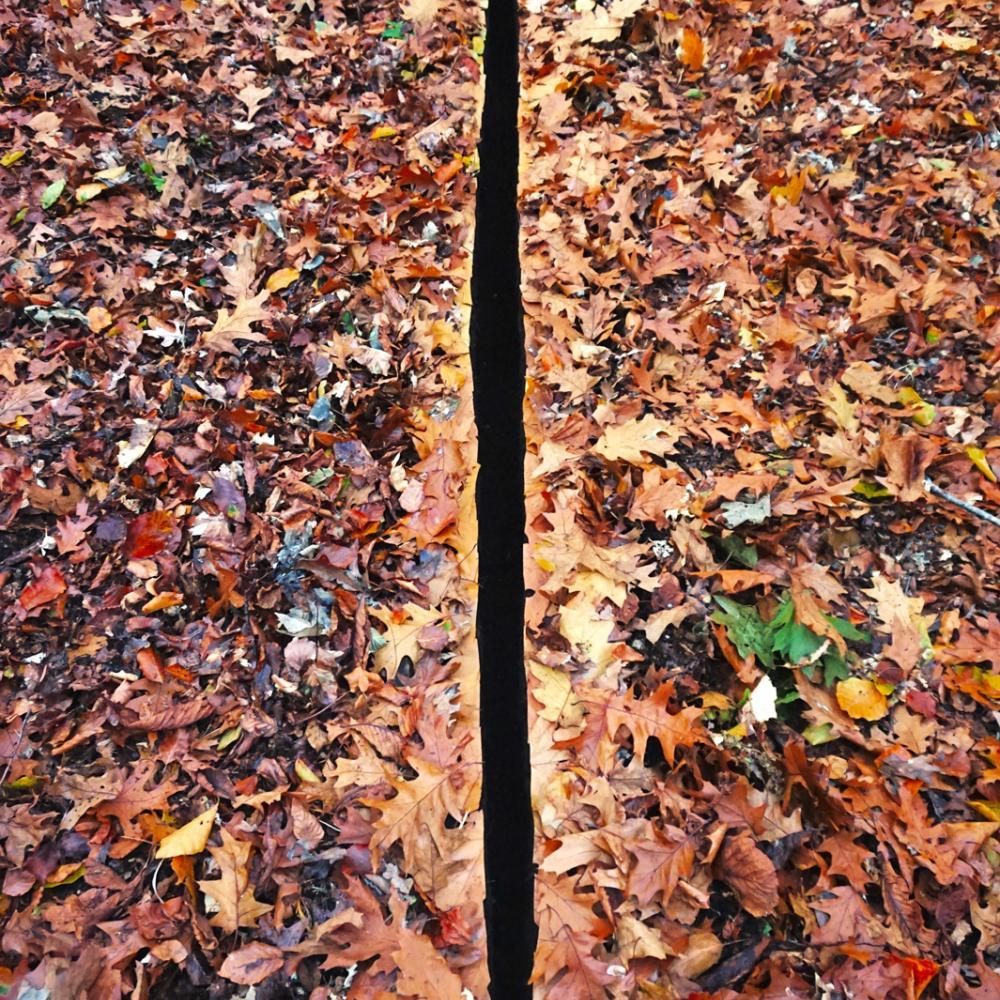  Langes Loch in den Waldboden gegraben, mit Blättern konturiert - intensiver Schatten entsteht, Hirschburg D, Okt 2019